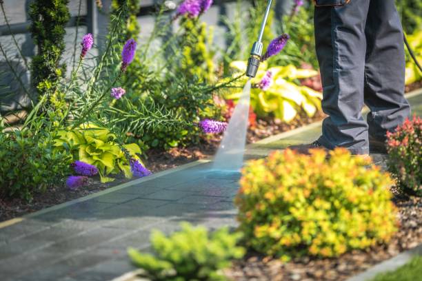 Best Dumpster Area Cleaning  in Ottawa Hills, OH